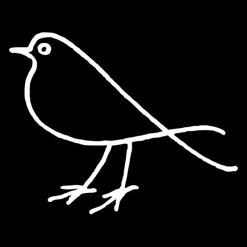 bird