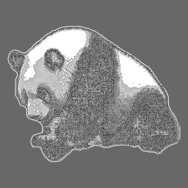 Panda groß