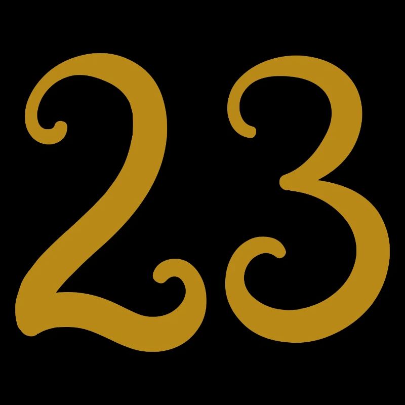 23