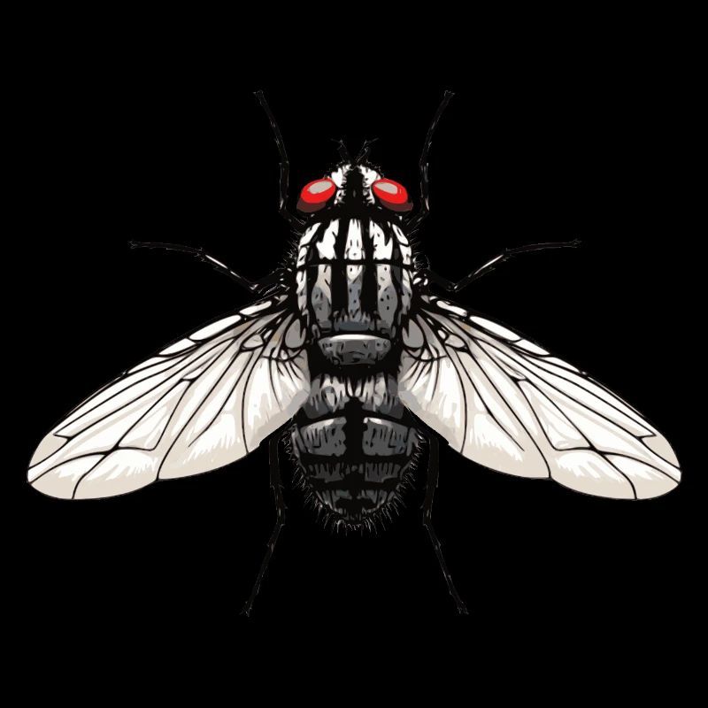 Fliege