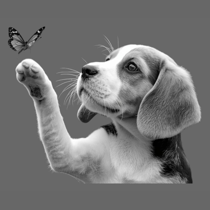 Chiot beagle et papillon