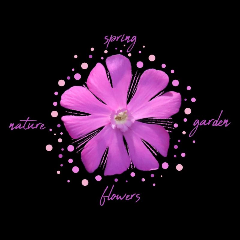 fleur rose fleurs roses