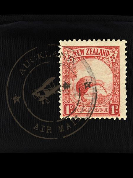 Kiwi stamp