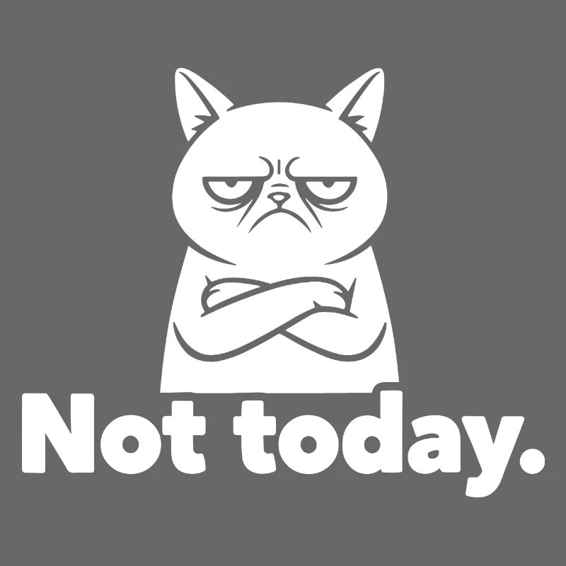 Grim Cat Not Today Meme
