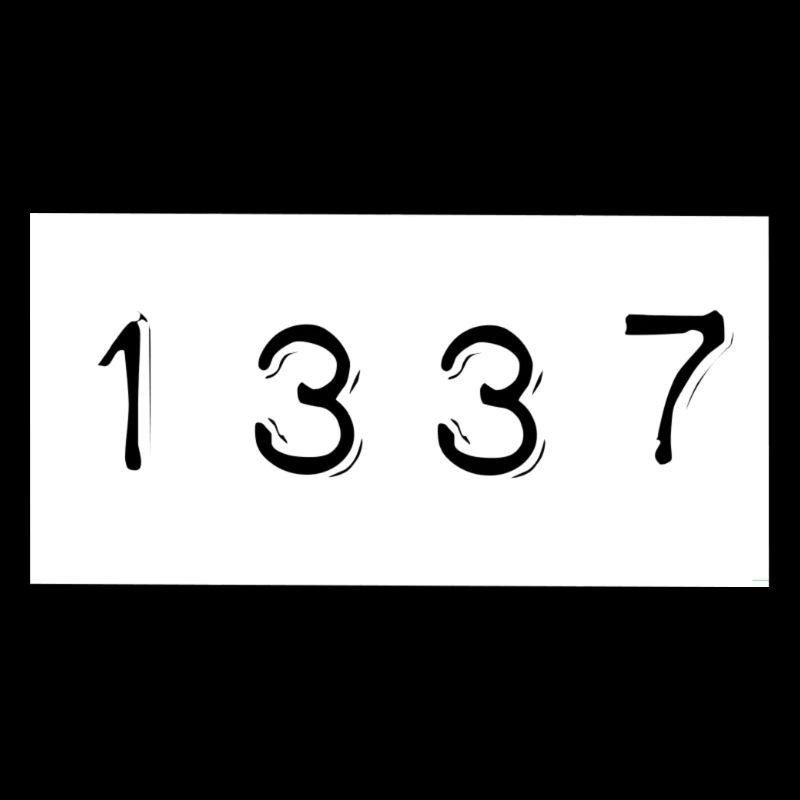 1337 Cs:Go Shirt, super Geschenkidee