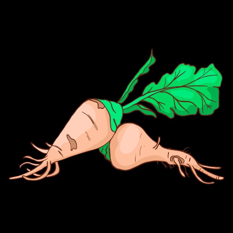 Sugar beet sugar beet