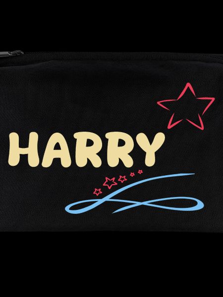 Sterne Harry