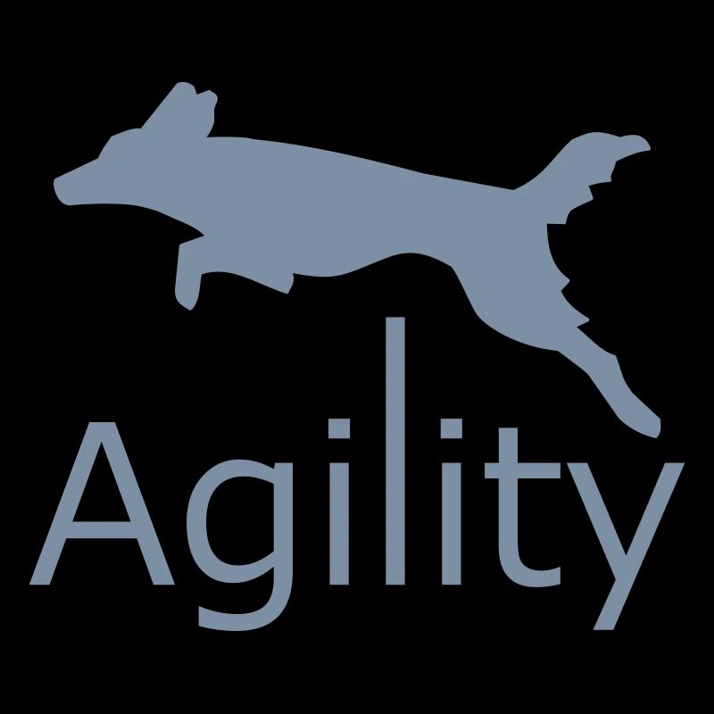 Agilité