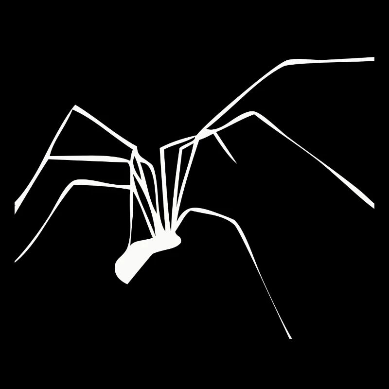 Araignée araignée araignée jambes de peur net de Noël