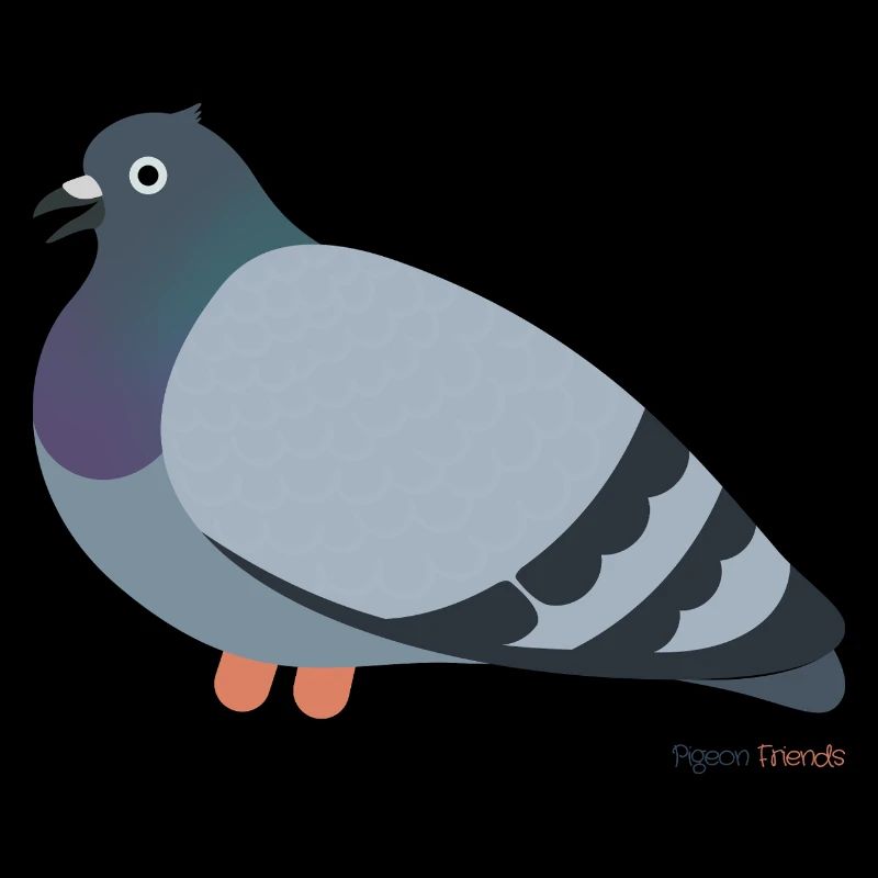 Pigeon Oiseau