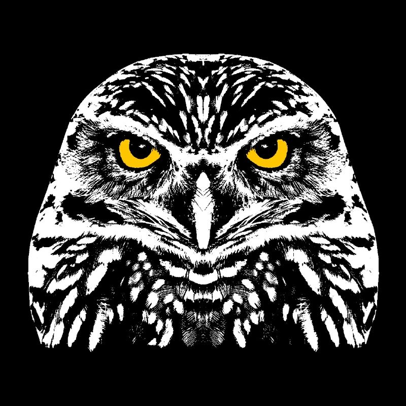 Owl with shining eyes