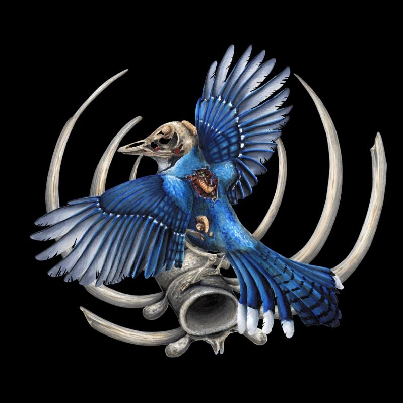 Blauer Totenkopf-Vogel