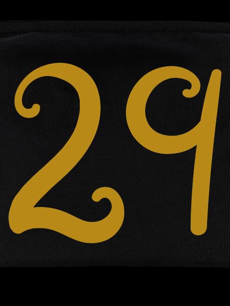 29