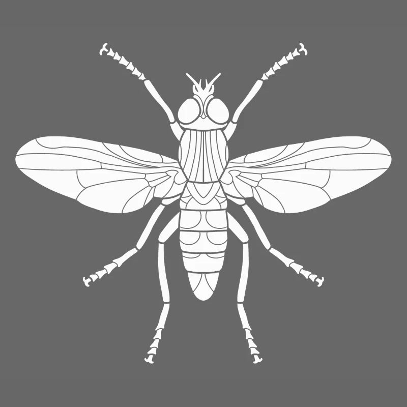 Stubenfliege