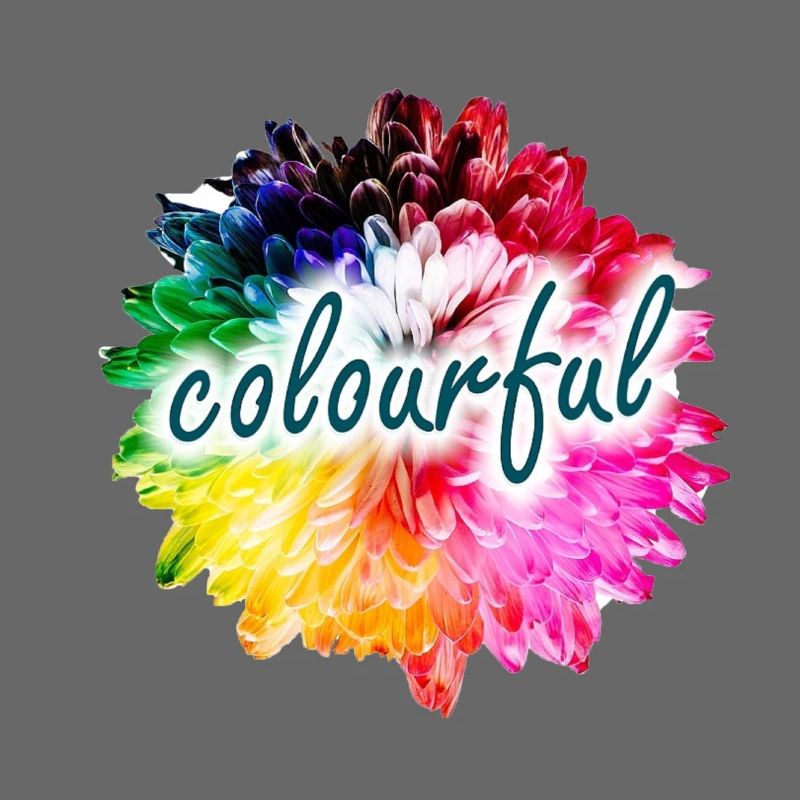 Regenbogenblume Farbexplosion