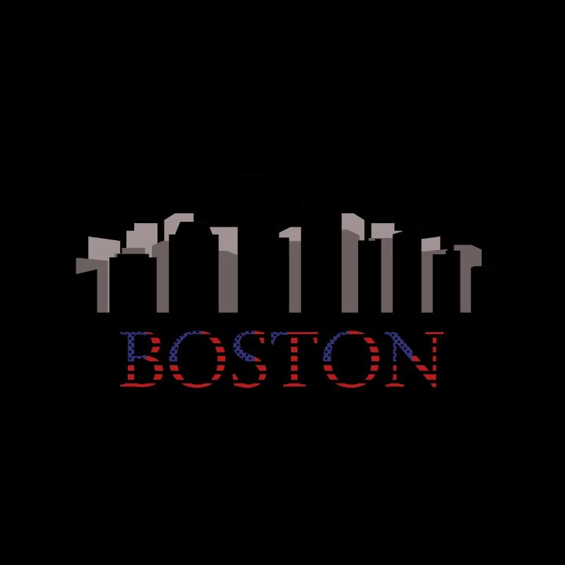 skyline boston