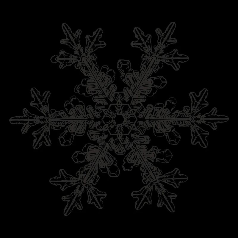 snowflake 7 black
