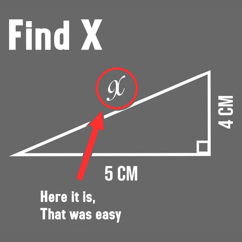 Find X Math Lover Mathematician Math Teacher