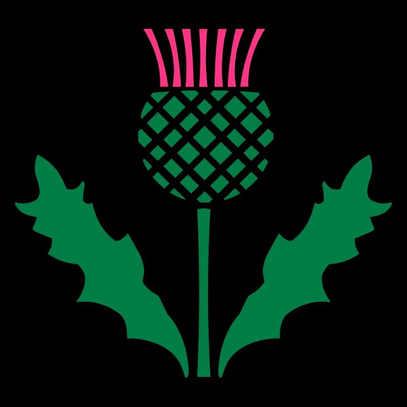 Scottish Thistle