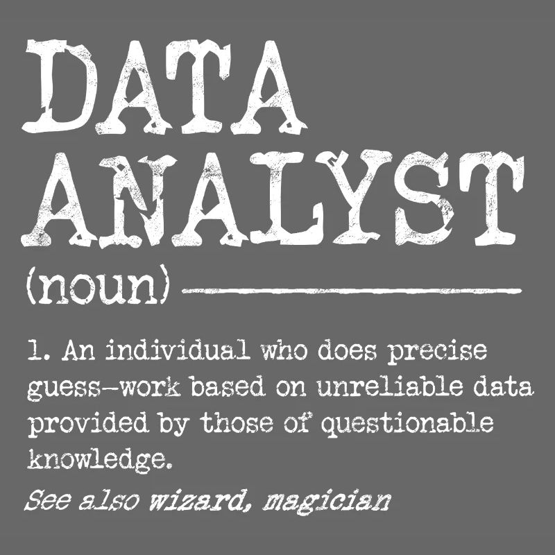 Data Analyst Meme Tee