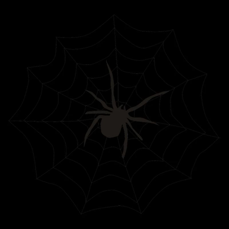 Spinne Netz