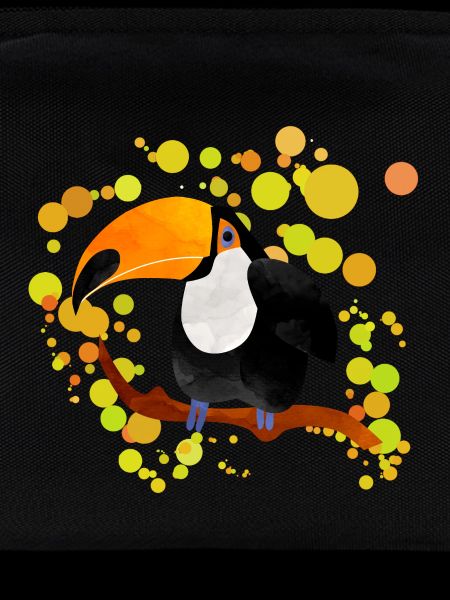 Toucan