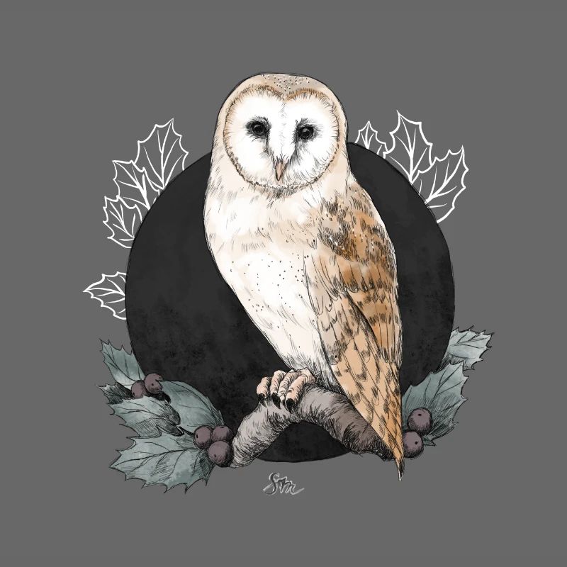 Barn owl before new moon