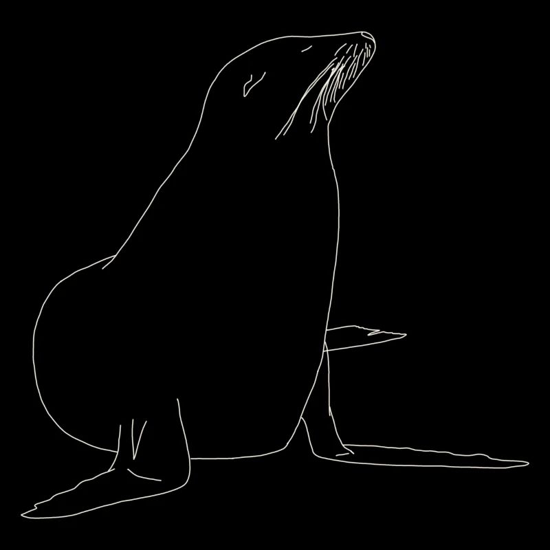 Seehund lineart