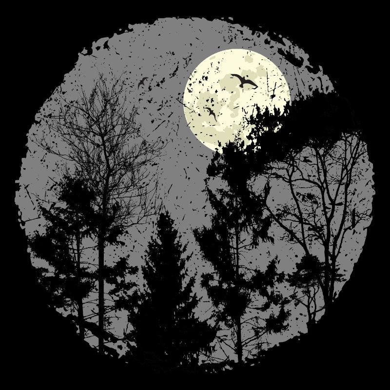 Scène de forêt nocturne sanctifiante
