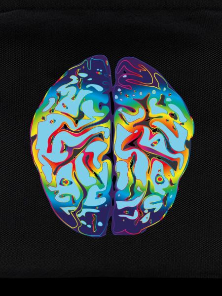 LSD Brain