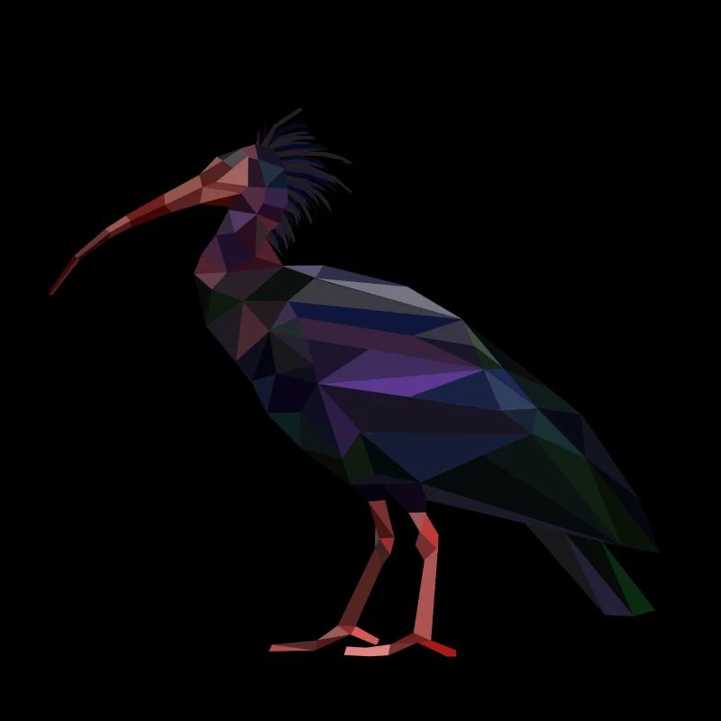 Waldrapp