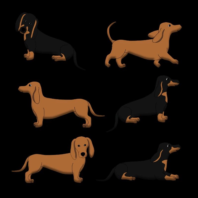 Dachshund selection