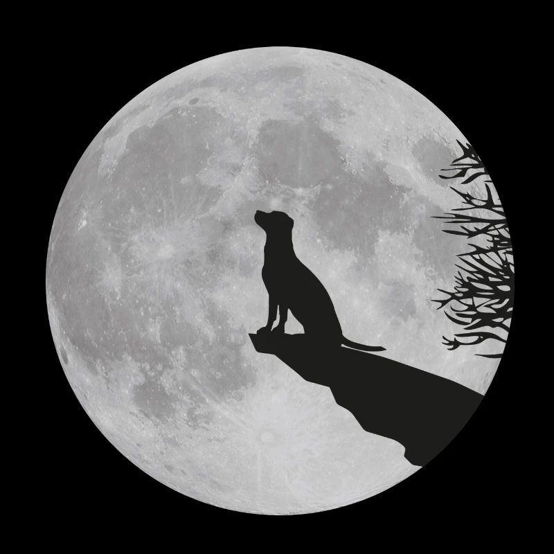 Vollmond Klippe Hund Dog Labrador Werwolf heulen