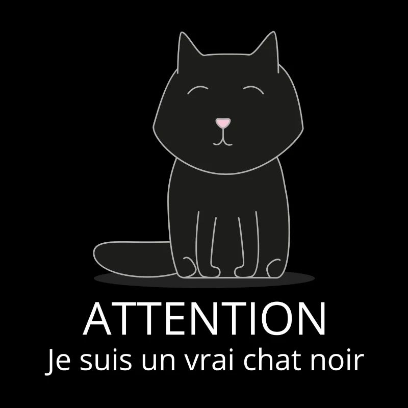 Chat noir