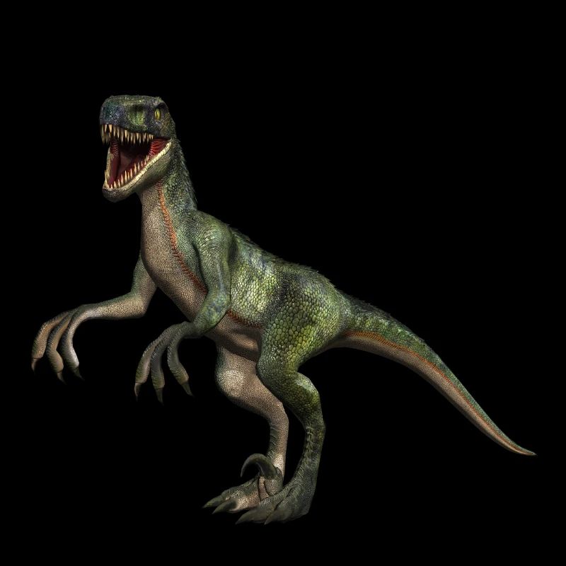 dinosaure Velociraptor 4