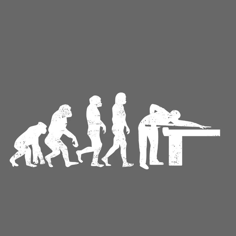 Billard evolution snooker pool geschenk billiard