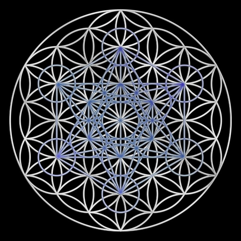 Le cube de Metatron - Fleur de la vie