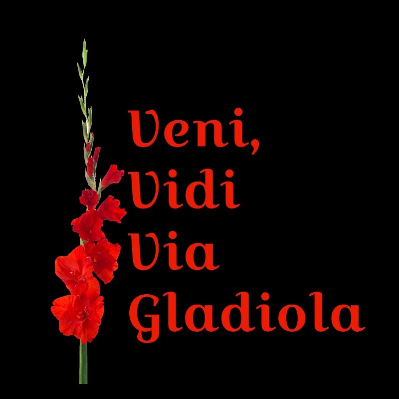 Nijmegen Marches - Veni Vidi Via Gladiola RED