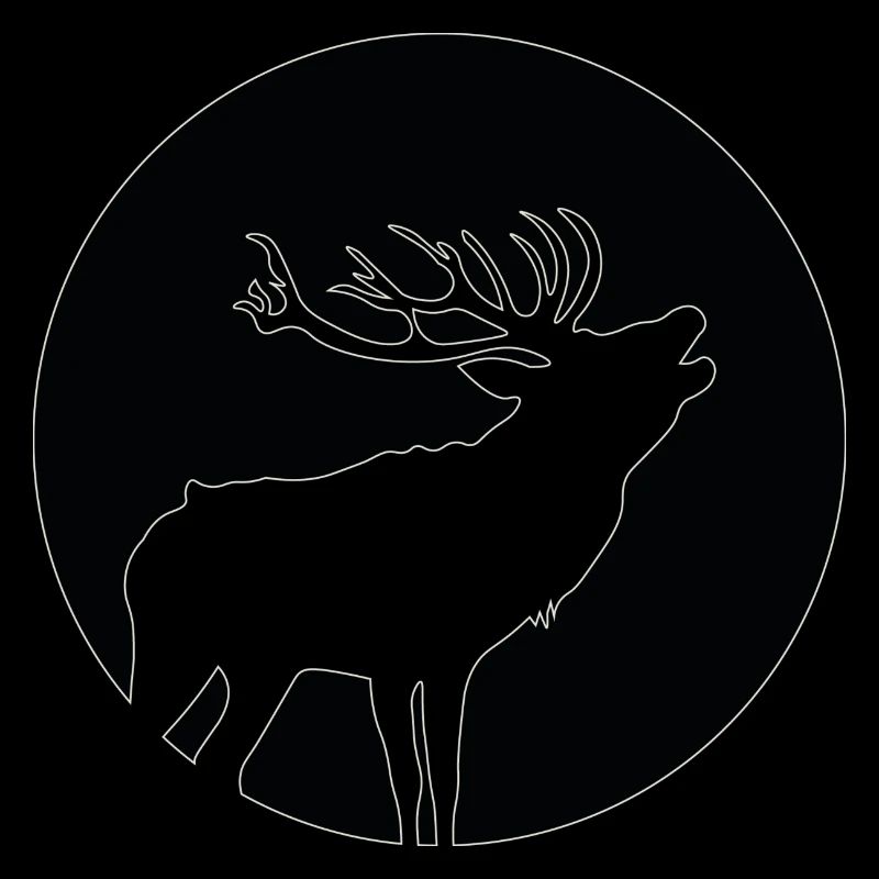 Deer in the open air forest hunter wild gift