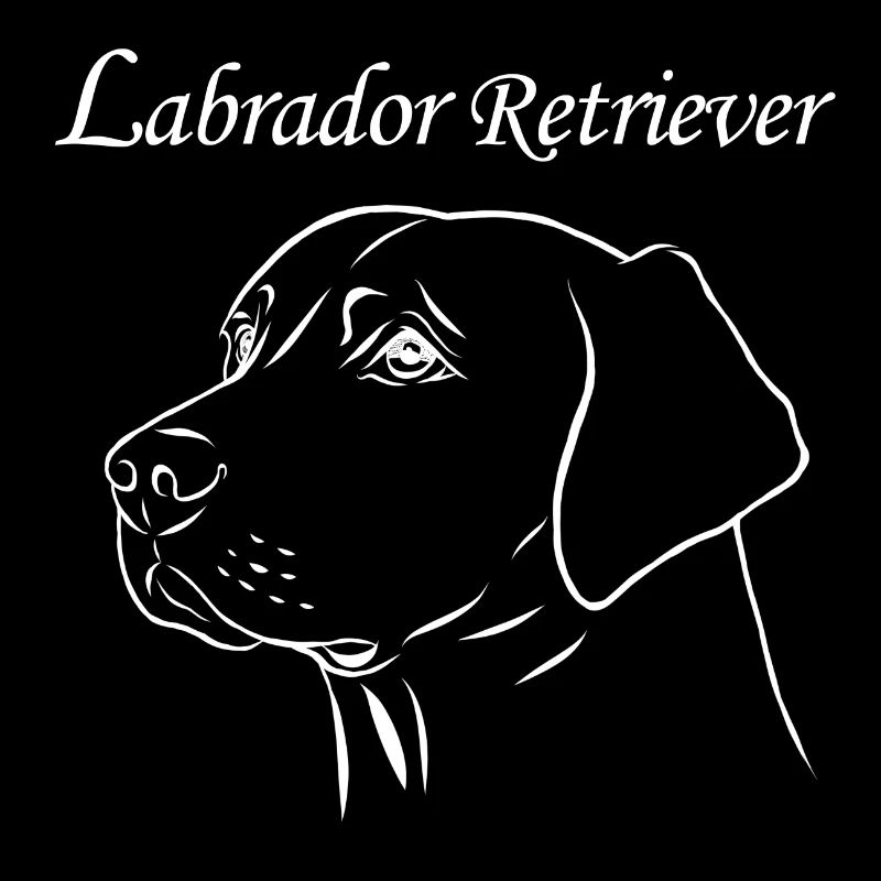 Portrait de labrador retriever
