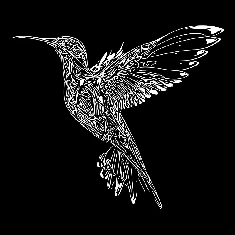 Exotic flying hummingbird wide wings