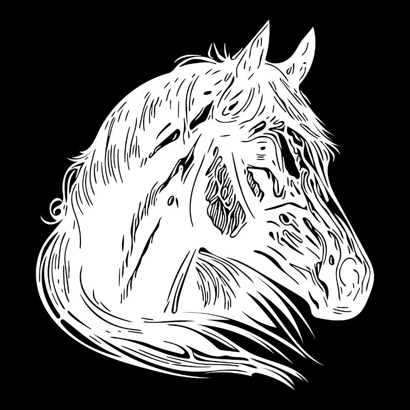 Mares Horses Portrait with Fantastically Beautiful Mane
