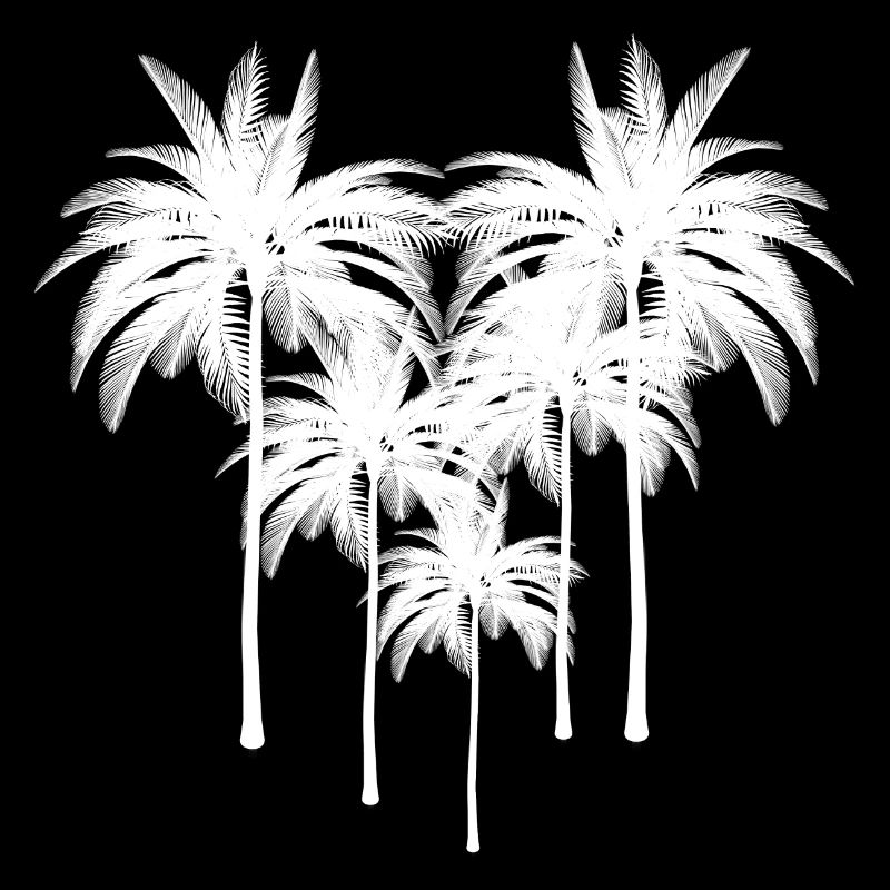 Palm trees silhouette in night contrast