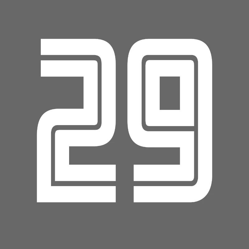 Jersey number 29 – 29th anniversary gift