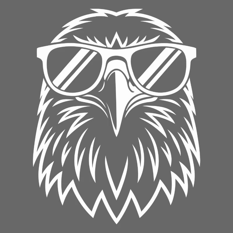Lunettes de soleil Aviator Eagle