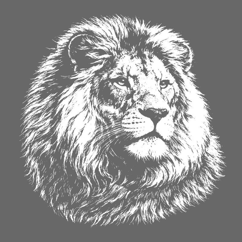 Leo – realistic black and white graphics
