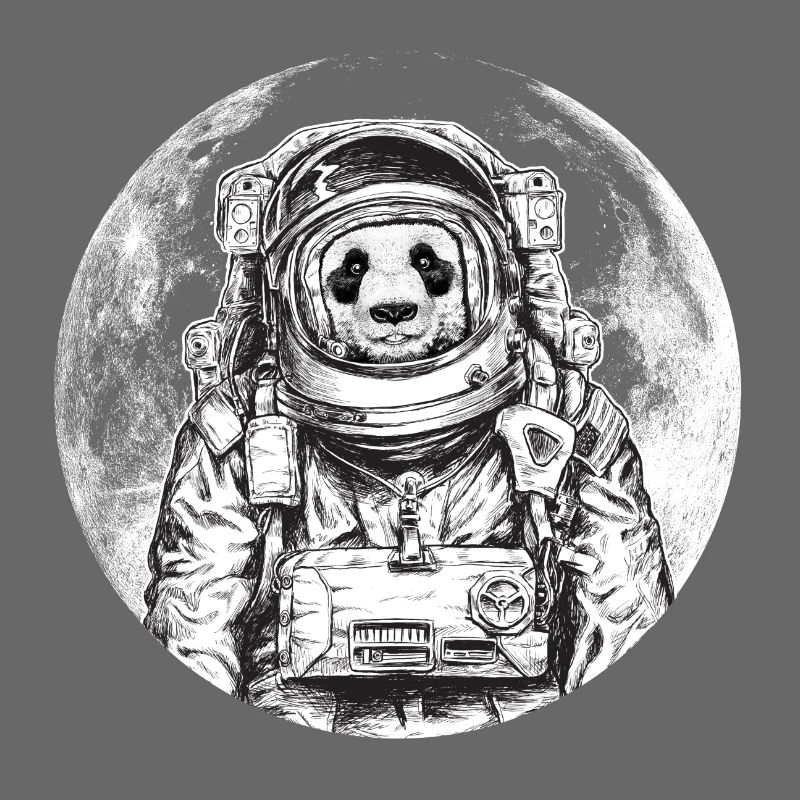 Panda astronaut bear moon wildlife space