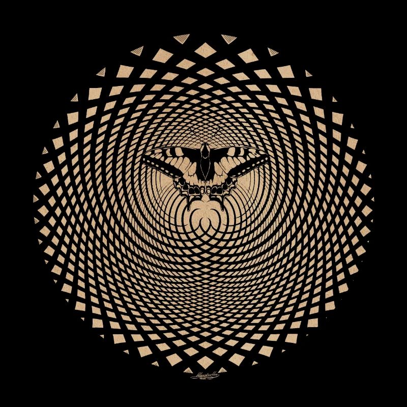 Butterfly Butterfly Effect Optical Illusion