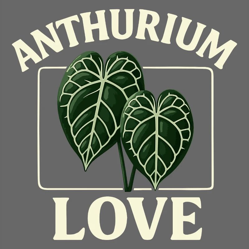 Anthurium Love