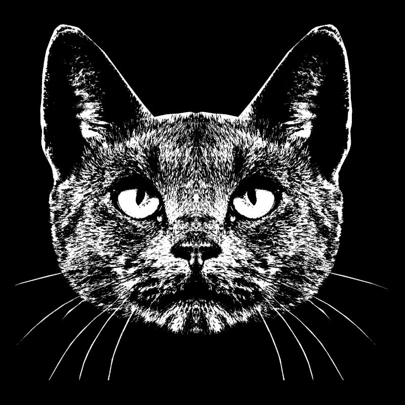 Katze / Portrait